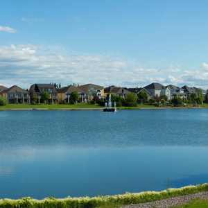 Limpiador natural de lodos de estanque y lago con microorganismos beneficiosos - Product Image 5