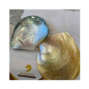 Plateau en nacre, plateau délicat en coquillage, plat à caviar élégant, porte-savon, plateau à bonbons, accent décoratif élégant pour la maison - Product Image 1