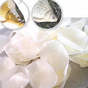เกล็ดปลาทิลาเปียคุณภาพสูง เกรด A ตากแห้งด้วยแสงแดด สำหรับทำอาหาร - Product Image 3