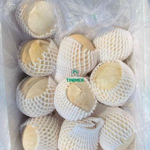 Coco pulido fresco de Vietnam adecuado para países de alto calor - Product Image 3