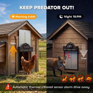 Porta Automatica per Pollaio con Telecamera AI 2K HD, Controllo Remoto tramite App, WiFi, Alimentazione Solare, Batteria Grande da 5200 mAh, per Gabbie di Animali - Product Image 3