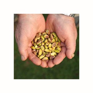 Achetez des noix de pécan fraîches à bas prix, commandes en gros acceptées pour l'exportation, marchés de détail et de gros, noix de pécan riches en nutriments - Product Image 4