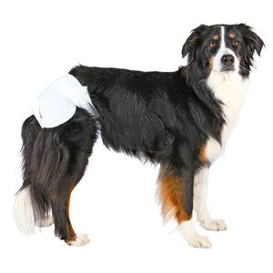 12 Ultra Absorbent XL Dog <b>Diapers</b> Premium <b>Pet</b> <b>Diaper</b> Product - Product Image 2