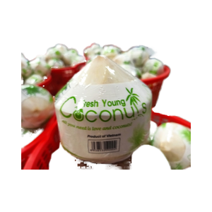 น้ำมะพร้าวอ่อนสดพรีเมียมธรรมชาติ รสหวาน น้ำมะพร้าวเข้มข้น เนื้อเนียนนุ่ม อายุการเก็บรักษา 60 วัน ขายส่งจากเวียดนาม - Product Image 5