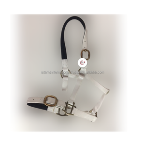 Caballo de PVC de alta calidad, Halter - Product Image 2