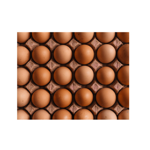 Huevos de Gallina Marrones al por Mayor con Larga Duración de Frescura para Empaque Minorista y Mercados de Comercio Internacional - Product Image 5