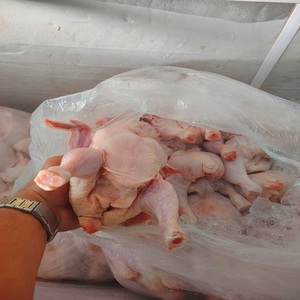 Pollo Congelado al por Mayor, Halal, Grado 25 kg, Calidad de Exportación, Excelente Sabor para Cada Ocasión de Cocina - Product Image 3