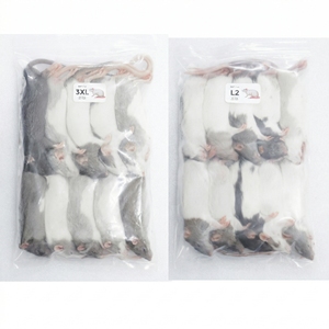 หนูแช่แข็งคุณภาพสูง โปรตีนสูง สำหรับงูและสัตว์เลื้อยคลาน - อาหารเสริมโปรไบโอติกสำหรับสัตว์เลี้ยง - จำหน่ายส่งจำนวนมาก ยั่งยืนได้ - Product Image 1