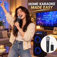 Système de microphone sans fil 2,4 GHz FYX Stock, un émetteur, deux récepteurs, son de scène professionnel, karaoké à domicile, diffusion en direct