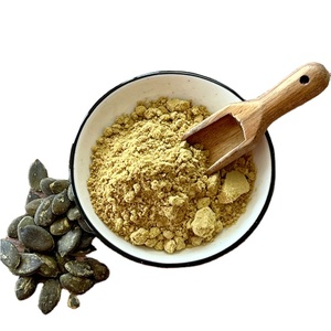Vente chaude <span class=keywords><strong>prix</strong></span> <span class=keywords><strong>de</strong></span> gros poudre <span class=keywords><strong>de</strong></span> graines <span class=keywords><strong>de</strong></span> citrouille biologique pure naturelle <span class=keywords><strong>farine</strong></span> <span class=keywords><strong>de</strong></span> graines <span class=keywords><strong>de</strong></span> citrouille pour l'exportation - Product Image 2