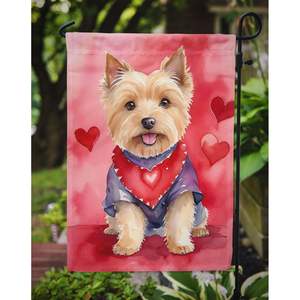 Norwich Terrier My Valentine Garden Flag Buzón multicolor Cartel decorativo para patio para ilustraciones de patio y camas de flores - Product Image 3