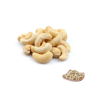 Approvisionnement en vrac de noix de cajou grillées à prix compétitif IQF de meilleure qualité du Vietnam - Product Image 1