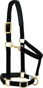 APURP//LLTOFIGS FFUL--COOONY Y - Product Image 2