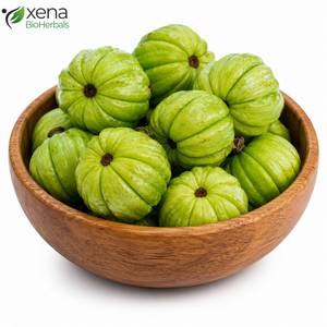 Factory Supply Garcinia Cambogia Fruit Natural Botanical Raw Material <b>for</b> Herbal Products Wholesale - Product Image 2