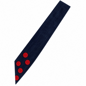 Écusson de Maître Élu du Rite Écossais du 9ème Degré, à coudre avec épingle de sûreté, en tissu toile personnalisé plaqué, qualité supérieure - Product Image 3