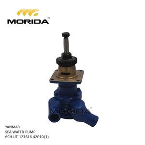 Siège de soupape 6CH 127616-11080 pour YANMAR - Product Image 2