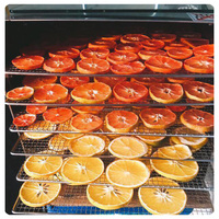 Premium Mekong Gesneden Gedroogde Sinaasappels Vietnam Natuurlijke Smaak AD Droogproces Bulk Vacuümverpakking Originele Smaak 25kg 24 Maanden