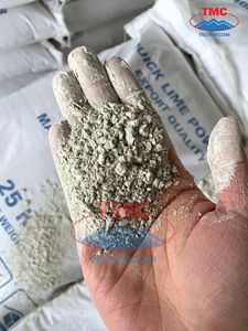 Cal Blanco Puro en Polvo CAO 88% para Diversos Procesos Industriales y Agrícolas, Tamaño 200 Mesh, TECHMICOM QUICKLIME - Product Image 4