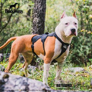 Imbracatura Multiuso Nera XH per Cani, per Escursionismo, Trail Running, Servizio e Uso Quotidiano, Borsa Sportiva - Product Image 1