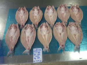 Filete de Pangasius Congelado VH Food Bajo en Carbohidratos, Color Natural, Con Piel/Sin Piel, Grado de Exportación IQF de Vietnam, Estilo Mariposa, Tamaños 20-35 - Product Image 6