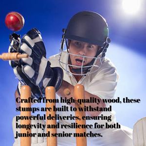 Premium Quality Cricket Wickets Set Durable Wooden Stumps & Bails for Professional Match Play Equipment - Product Image 5