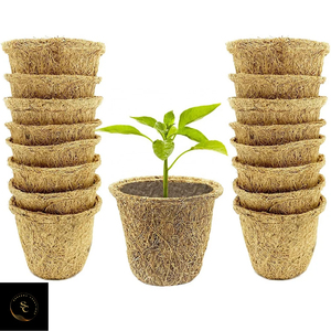 Macetas Biodegradables de Fibra Vegetal para Plántulas y Germinación de Hierbas, Amplia Aplicación - Product Image 4
