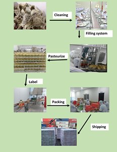 Saconest รังนกพรีเมี่ยมที่มาจากป่าเครื่องดื่มแบบไม่มีน้ำตาลทราย15% รัง-6ขวด-จากเวียดนาม - Product Image 6