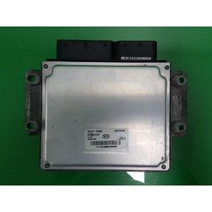 ECUs y Módulos de Computación Usados de Carnival 391044X945 - Product Image 4