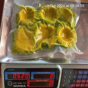 Avocat en dés surgelé IQF naturel du Vietnam pour la préparation de smoothies crémeux et les garnitures de salades fraîches de 99 Gold Data Supply - Product Image 5