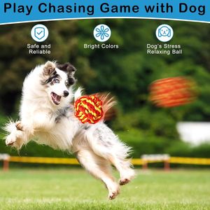 Jouets à mâcher en corde et balle pour chien en coton et caoutchouc, écologiques et durables, pour usage intérieur, amusants, interactifs, anti-ennui et pour la dentition - Vente en gros - Product Image 3