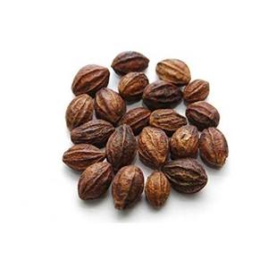 Factory Prices Wild Haritaki Whole Food Grade with Customized Vacuum Packed for Sale by Indian Exporters - Product Image 1