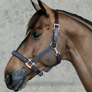 Nylon Horse <b>Halter</b> with Leather Headpiece Padded Adjustable Headcollar with Metal Hardware - Product Image 4