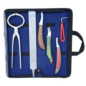 ชุดเครื่องมือช่างตัดแต่งกีบม้ามืออาชีพ  พร้อมเครื่องมือทดสอบกีบม้า มีดตัดแผลในกีบ มีดโค้งสำหรับกีบม้า ตะไบปลายทองเหลือง และที่แคะกีบม้า - Product Image 1