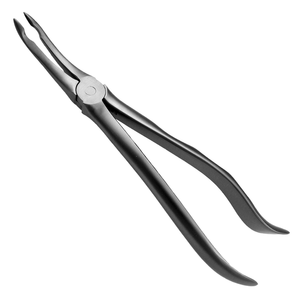 Forceps d'extraction spécial 144E pour racines supérieures, modèle anglais, en acier inoxydable, instrument chirurgical dentaire - Product Image 2
