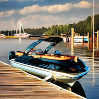 Bateau ponton sportif fermé de 22 pieds, prêt à être expédié, personnalisé pour 12 passagers, bateau ponton simple de luxe avec bar