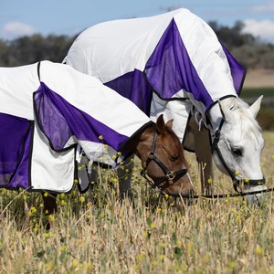 Couverture d'écurie matelassée personnalisée pour chevaux – Housse d'équitation hivernale confortable et durable – Offre spéciale - Product Image 4