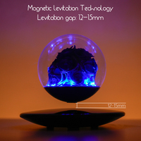 Décoration de chambre, cadeau de la Saint-Valentin pour les couples, lampe de nuit LED à lévitation magnétique, rose éternelle préservée pour un anniversaire