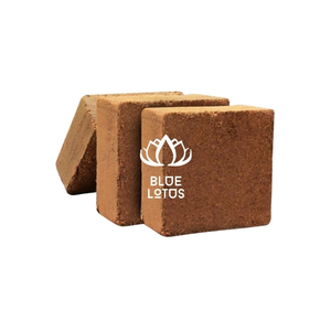 Meilleures ventes : Substrat de culture écologique en tourbe de coco pour la germination des graines et les mélanges de rempotage avec contrôle fiable de l'humidité - Product Image 1