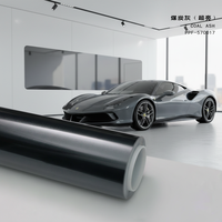 Film de protection PPF auto-cicatrisant en TPU coloré, anti-jaunissement, durable, garantie 10 ans, OEM ODM, pour concessionnaires Porsche, Lamborghini, Ferrari