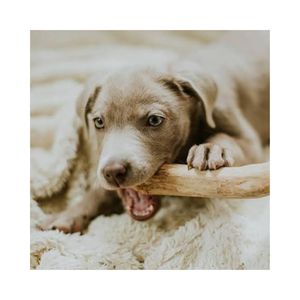 Juguete Masticable de Madera Mediano con Estampado Animal de Lujo Natural - Barra Ecológica para Perros para Morder y Limpiar los Dientes Molares - Product Image 1
