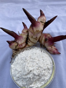 แป้งรากชิงชันธรรมชาติคุณภาพสูงราคาถูก ผลิตในเวียดนาม - Product Image 3