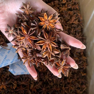 Anís estrellado de nueva cosecha de Vietnam, calidad premium para otoño y primavera, especias alimenticias especiales, precio de fábrica, cantidad a granel - Product Image 1