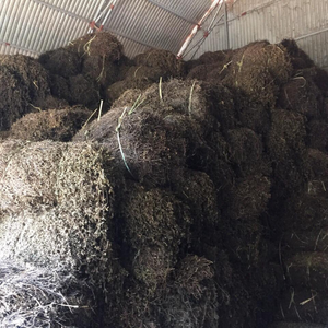 Gelée de plantes du Vietnam brute pour la sélection des chefs professionnels et la création de gelées aux herbes de qualité supérieure pour les bars à jus - Product Image 6