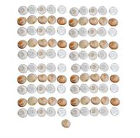 Arbre Gomti Chakra Naturel et Original, 100 Perles, Porte-Bonheur et Prospérité, Pièce Décorative pour Bureau et Maison