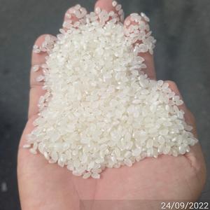 ข้าวญี่ปุ่นซูชิเมล็ดสั้น ข้าวญี่ปุ่นคาโมลิโนเมล็ดกลาง ข้าว |   ราคาขายส่ง แบรนด์ส่วนตัว |   ลินดา WA084393250278 - Product Image 3