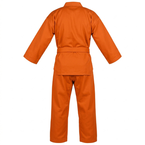 Uniforme de Taekwondo avec logo personnalisé, broderie OEM Dobok, vêtements pour club, école, équipe - Product Image 3