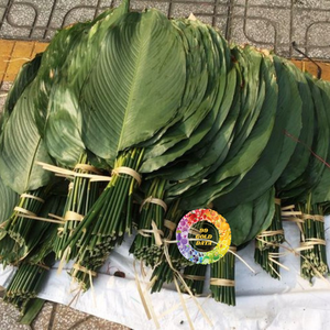 Hojas de Dong Congeladas Auténticas de Vietnam - Ideales para la Preparación de Comida Tradicional y para Envolver Pasteles Tradicionales -99 Gold Data - Product Image 4