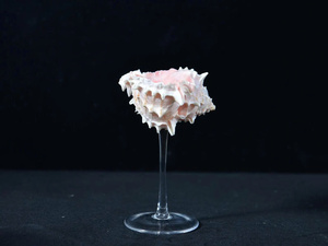 Verres à vin en coquillage naturel poli faits à la main – Cadeau élégant pour mariage côtier, anniversaire, enterrement de vie de jeune fille – Décoration coquillage élégante pour Martini - Product Image 4