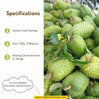 Fournisseur de Corossol Frais Premium - Vente en Gros pour Importateurs Mondiaux