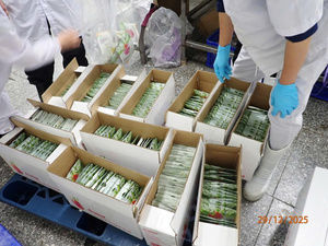 Fruta Seca Natural Dulce/Fruta Tropical Deshidratada en Empaque Individual o a Granel de Vietnam - Pey - Product Image 2